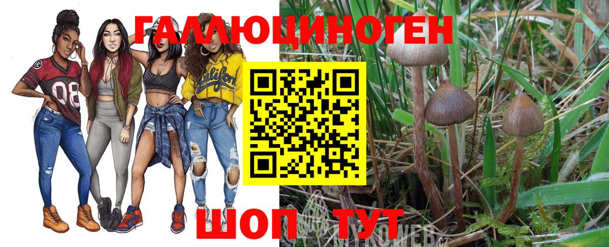 Псилоцибиновые грибы GOLDEN TEACHER  Вход с VPN  Ирбит 
